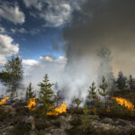 Totalt 120 skogsbrandsinsatser under 2023